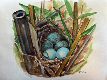 Bluebird eggs thumb