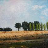 Collection Inspired by Claude Monet