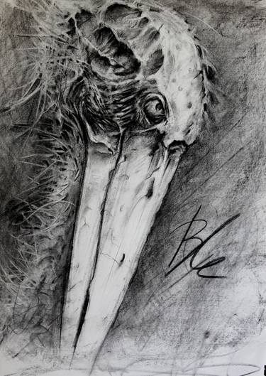 Print of Animal Drawings by nikos blempoutzakis