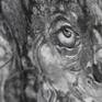 charcoal,powder ,carbon pencil and aceton on paper board

42 x 29,7cm
16.5" x 11.7"

this is original handmade artwork
this NOT print OR copy

unframed
signed
fixed

shipping worldwide
ships Flat