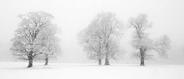 Whiteout (Fine Art Giclee print) - Limited Edition of 10 thumb