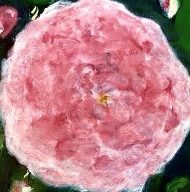 Rose Ispahan thumb