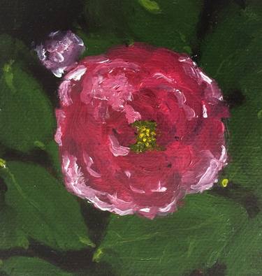 Print of Conceptual Botanic Paintings by Aase Birkhaug Ica