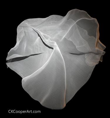 Original Figurative Abstract Sculpture by CK Cooper
