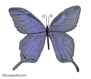 Blue and Black Butterfly thumb