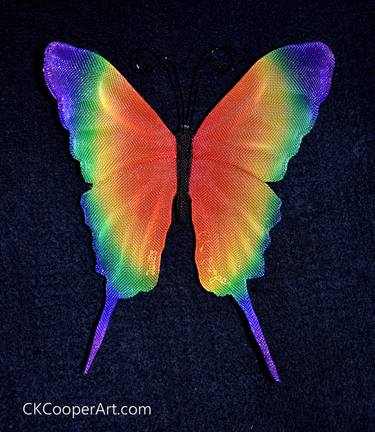 Rainbow Butterfly thumb