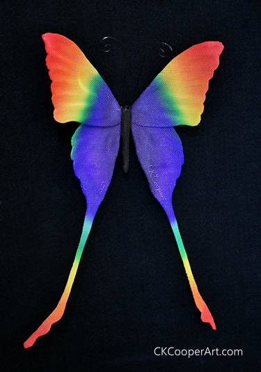 Rainbow Swallowtail Butterfly thumb