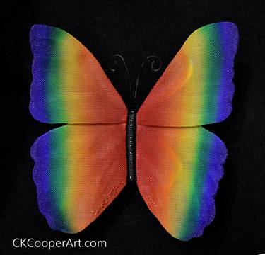 Rainbow Morpho Butterfly thumb