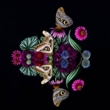 Original Floral Photography by Colleen Ayson