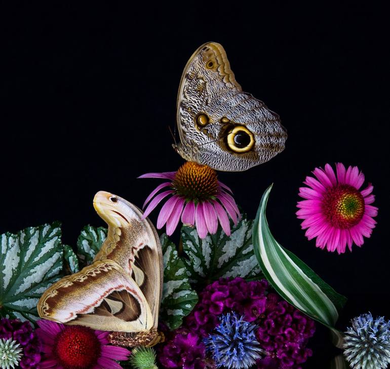 Original Conceptual Floral Photography by Colleen Ayson