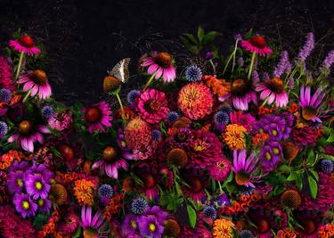 Original Baroque Botanic Photography by Colleen Ayson