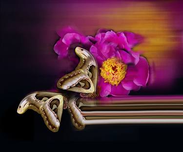 Original Abstract Expressionism Botanic Photography by Colleen Ayson