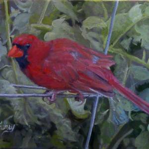 Collection BIRDS