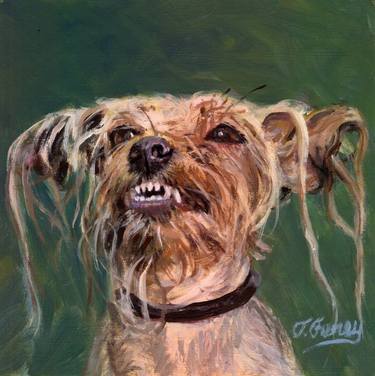 Original Fine Art Animal Paintings by Tom Furey