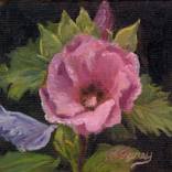 Collection DAILY PAINTING
