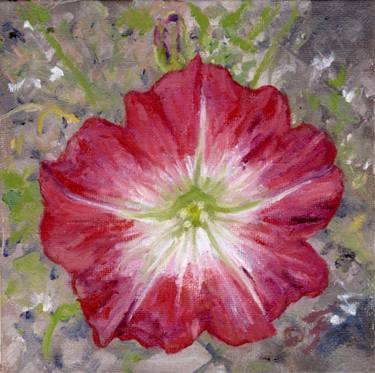 Original Floral Paintings by Tom Furey