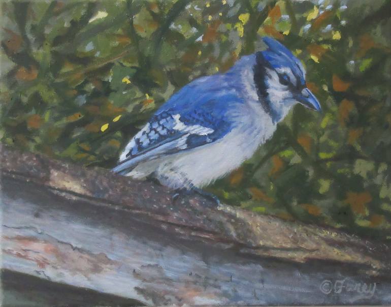 Blue Jay - Bird painting - Blue and black bird - Bird print - bird art -  Bluejay painting - Open edition print