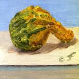 Collection 2020 COVID GOURDS