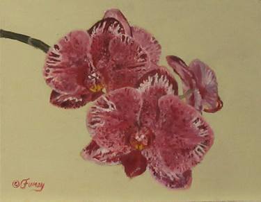 Print of Fine Art Floral Paintings by Tom Furey
