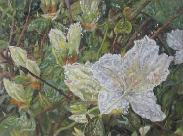 Original Fine Art Floral Paintings by Tom Furey