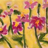 Zinnia Garden by Tammy Silbermann