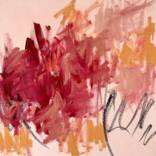 Peony by Tammy Silbermann