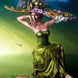 The four seasons: 