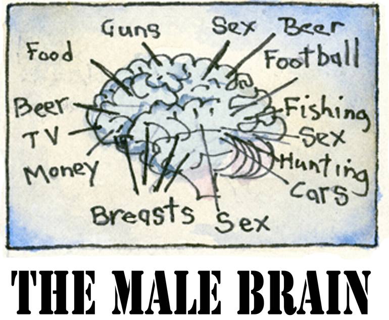 The Male Brain - Print