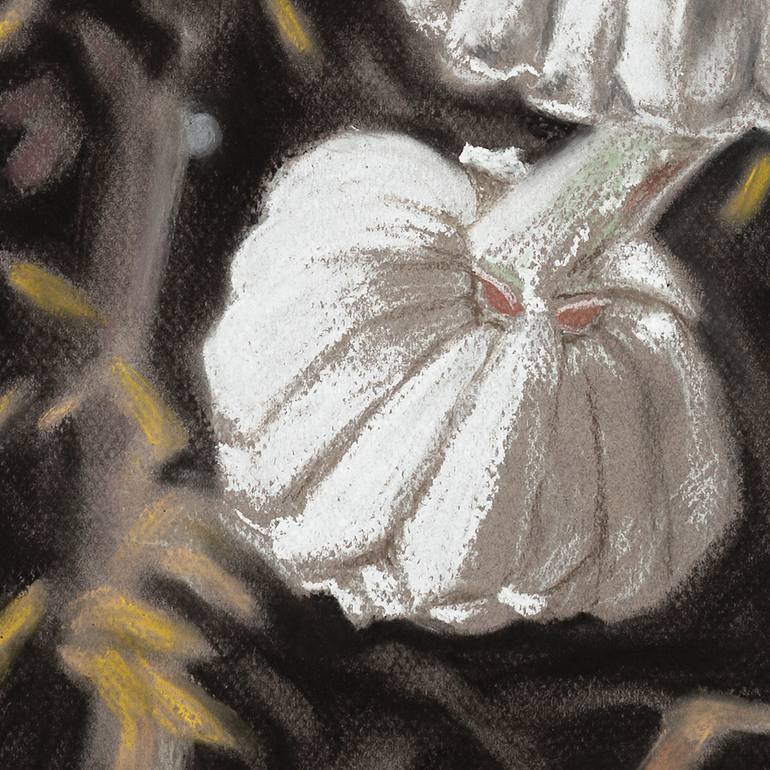 Original Other Botanic Drawing by Christine Newman