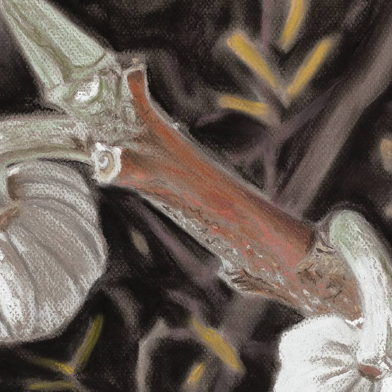 Original Other Botanic Drawing by Christine Newman