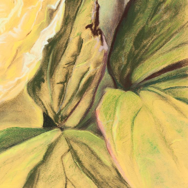 Original Other Botanic Drawing by Christine Newman