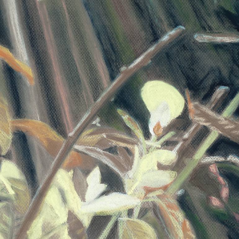 Original Other Botanic Drawing by Christine Newman