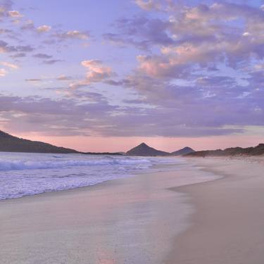 Print of Fine Art Beach Printmaking by Kate Branch