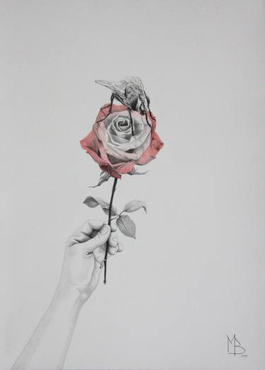 Original Surrealism Floral Drawing by Martin Blanco