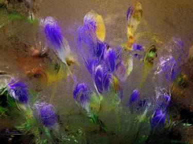 Original Abstract Expressionism Floral Photography by ACQUA LUNA