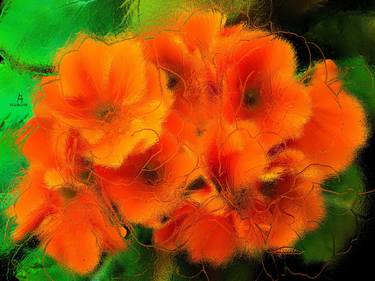 Original Expressionism Floral Photography by ACQUA LUNA