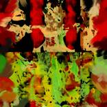 Collection Paisajes interiores.