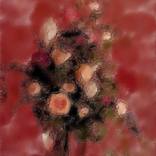 Collection FLORES con ARTE.