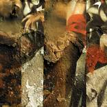 Collection ARTE en los Muros.