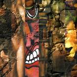 Collection ARTE en los Muros.