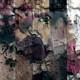 Collection ARTE en los Muros.