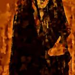 Collection En primer plano.