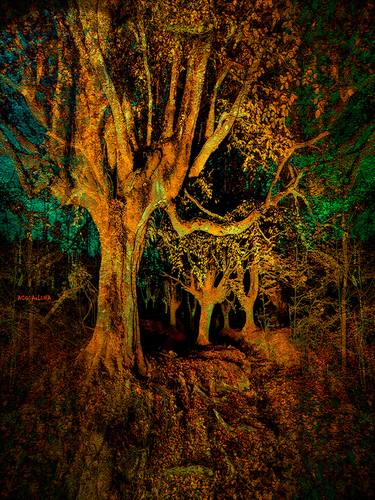 Original Tree Photography by ACQUA LUNA