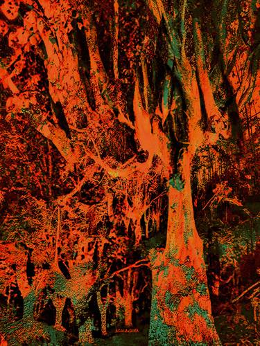 Original Surrealism Tree Mixed Media by ACQUA LUNA