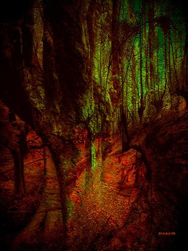 Original Abstract Tree Photography by ACQUA LUNA
