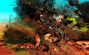 Original Abstract Tree Photography by ACQUA LUNA