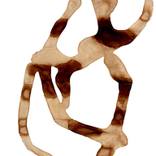 Collection Colección de ARTE.