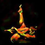 Collection PINTURAS.