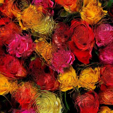 46- Rosas multicolores. thumb