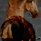 Collection ZOO con arte.